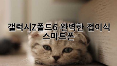 갤럭시Z폴드6: 완벽한 접이식 스마트폰?