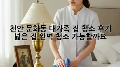 천안 문화동 대가족 집 청소 후기: 넓은 집, 완벽 청소 가능할까요?