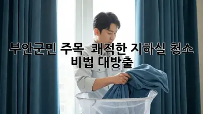 부안군민 주목! ✨ 쾌적한 지하실 청소 비법 대방출!